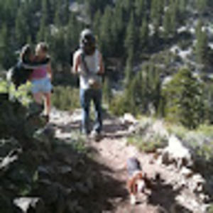 Meet your Posher, Dominique